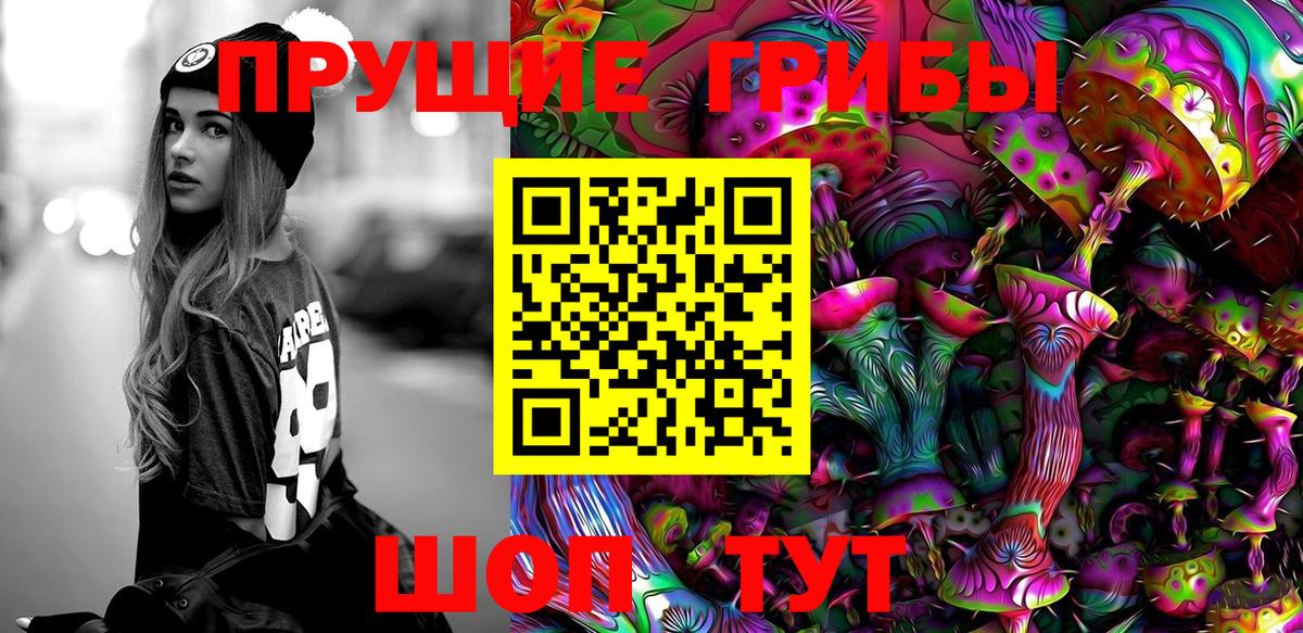 Псилоцибиновые грибы прущие грибы  Вход с VPN  Коммунар 